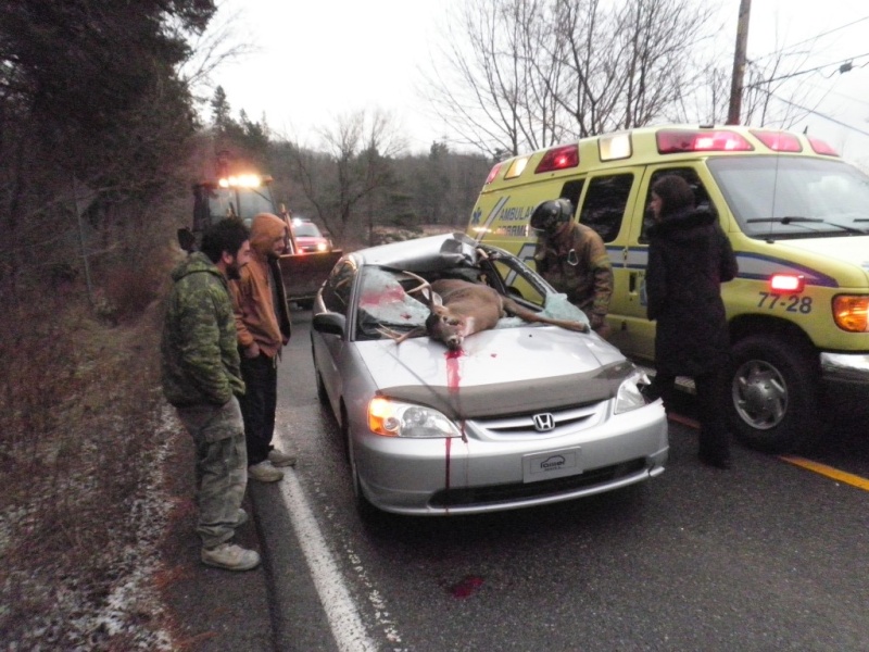 accident a aylmer Pc020241