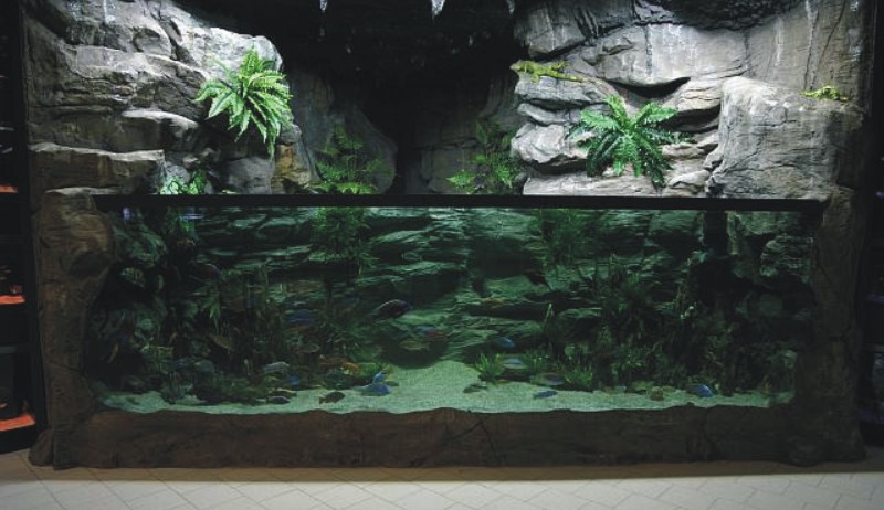 aquarium de vos reves.... Aquari10