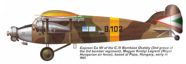 Caproni Ca.101 Ca_10111