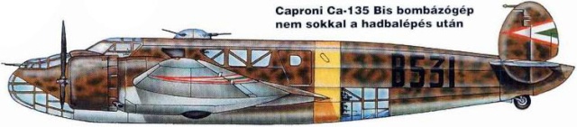 Caproni Ca.135 & 135bis Capron10