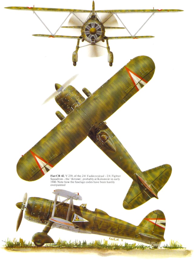 Fiat Cr.42bis Fiat_c40