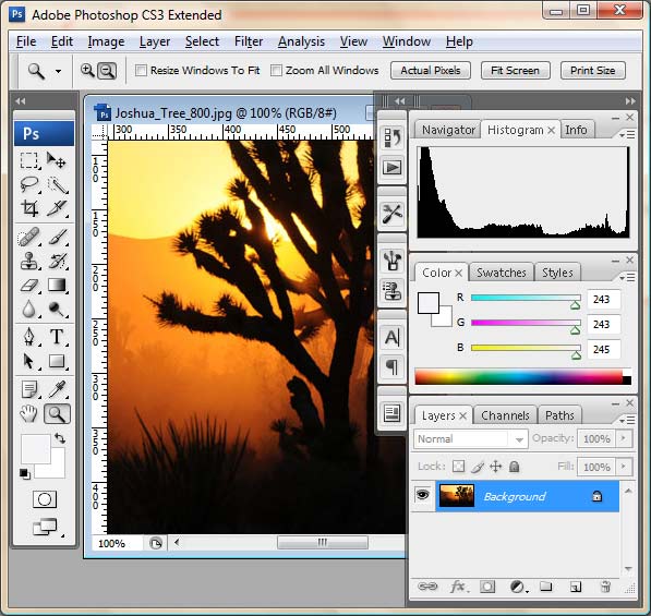 Intro to Photoshop Photos10