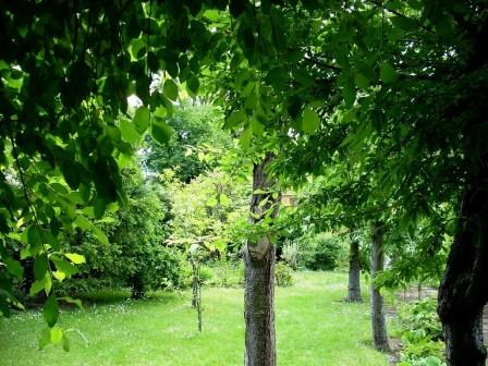 Hier noch etwas zum Träumen und Freuen! Dscn1123