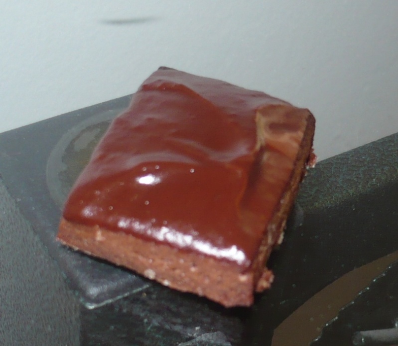 Petits sablés au chocolat, nappés de chocolat noir P1010810