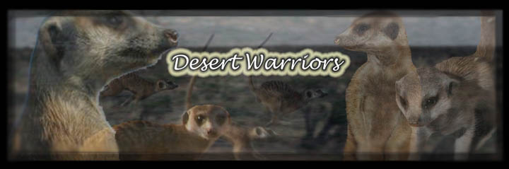 Desert Warriors Desert12