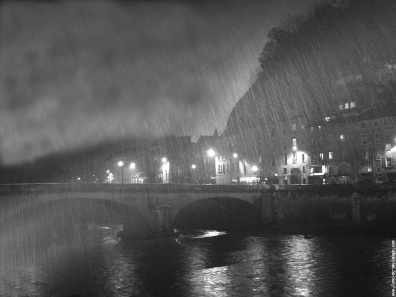 domenico belli - Page 4 Pluie-10