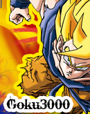Goku3000