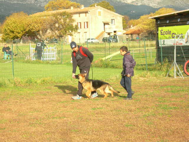 L'ECOLE DU CHIOT AU SCCE - Page 5 Dscn8810