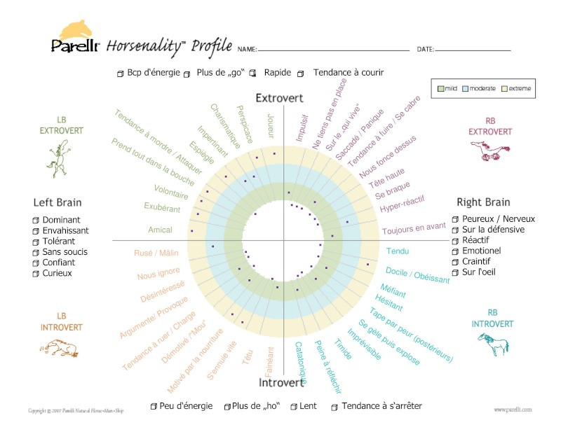 Horsenality : la prise en compte de la personnalité du cheval par Parelli Horsen10