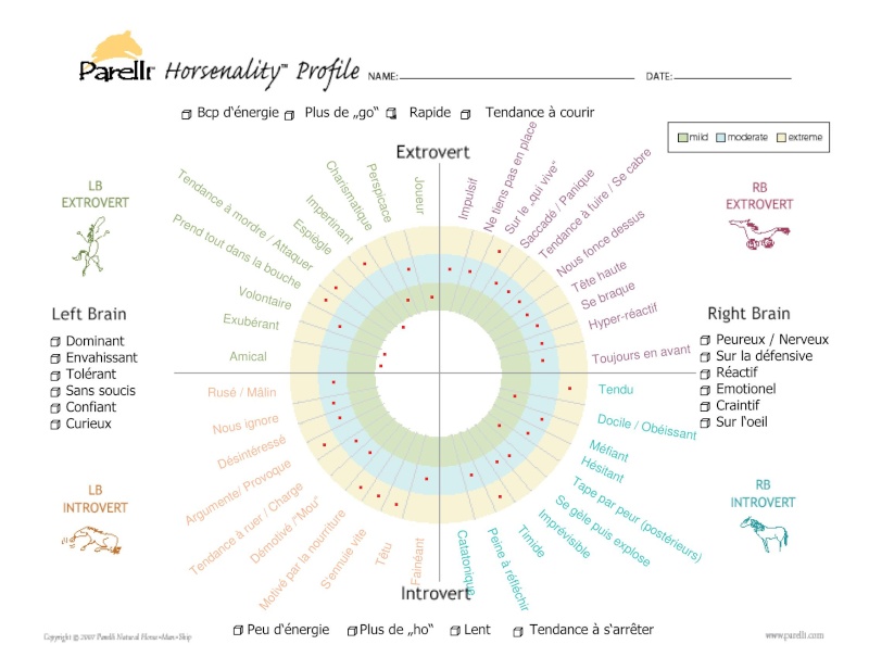 Horsenality : la prise en compte de la personnalité du cheval par Parelli Horsen11