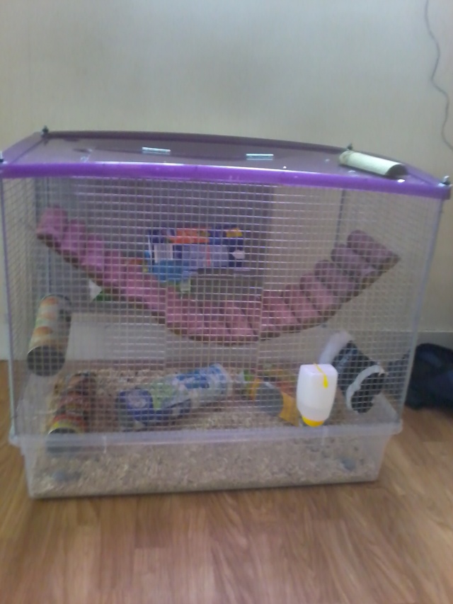 Nouvelle cage faite maison ^^ Photo010