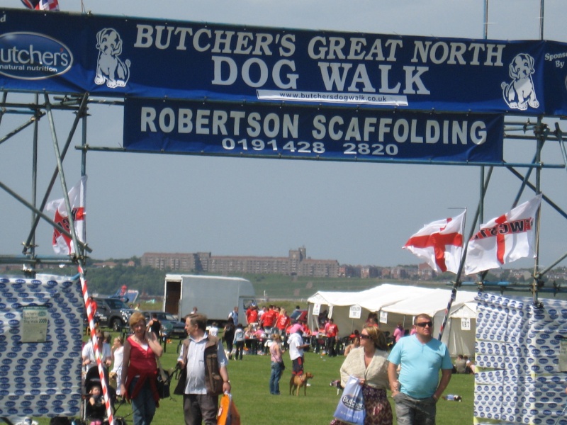 Butchers Great North Dog Walk 2011 - 12th June - In Aid Of RAFA Butche12