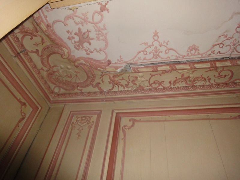 L'appartement de Mme du Barry à Versailles - Page 3 Dsc00021