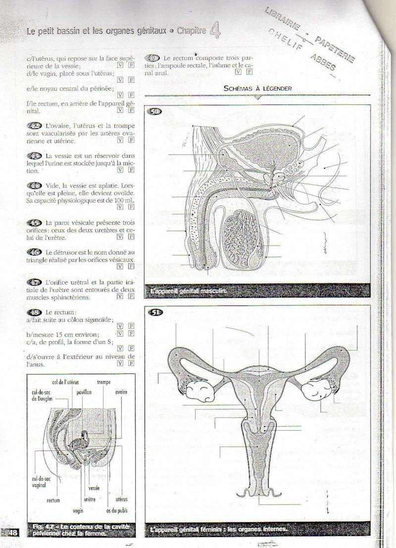 anatomie - sujet d'examen 2008 d'anatomie Img04110