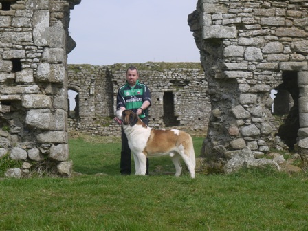 The Saints at Ballymoon Castle in Carlow Ireland :) 00610