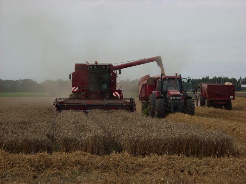 paille - faire de la paille avec une axial Sn851210