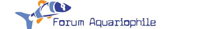 Forum Aquariophile