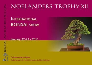 Noelanders Trophy XII Nt_xii10