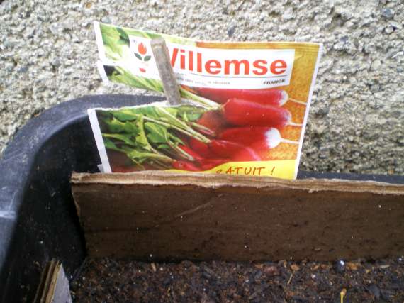 J'ai planté.....dans mon potager Le_3_a20