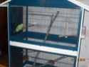 promesse tenue pipelette, voici la nouvelle cage  Dscn1515