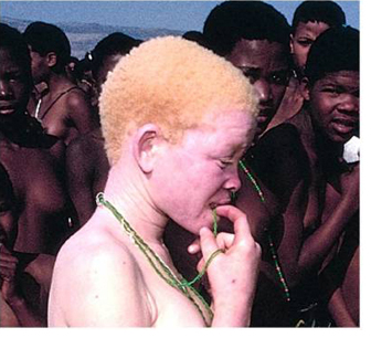 Les Stigmates du Pérégrin -  Albinos. Albino10