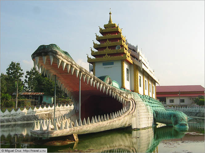 Temple crocodile Myawaddy Thaïlande Croco110