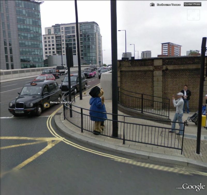 STREET VIEW : objets, animaux et autres en version géante Ours210