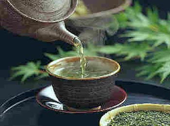 الشاي الأخضر "مضاد" للسرطان 4-02p12