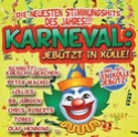 Karneval 2010 Der-do14