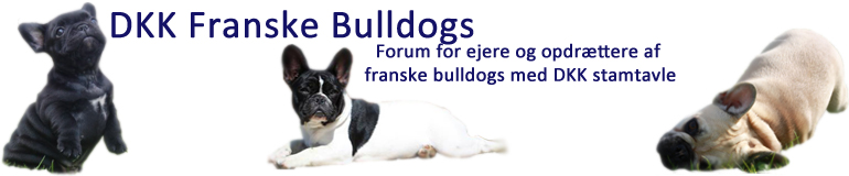 DKK Franske Bulldogs