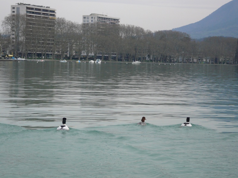 ANNECY P1010314