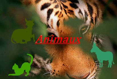 Les animaux Scr_2310