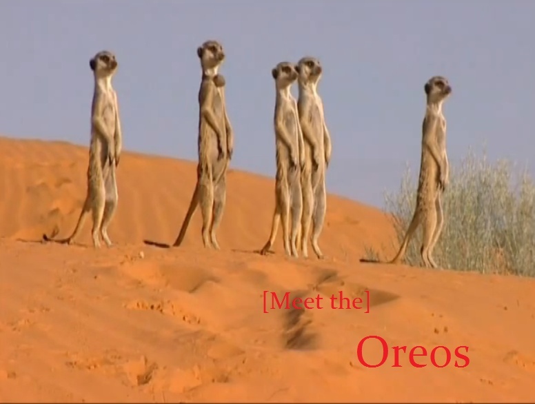 Oreos Meerkat Opening Oreoso10