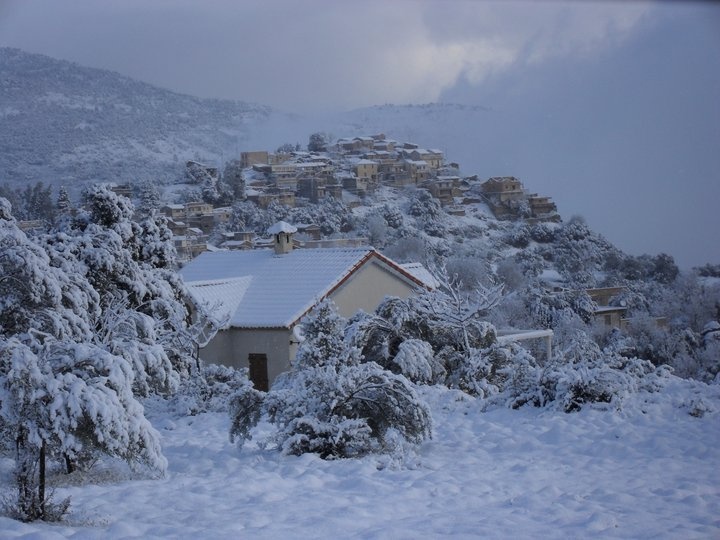 Akfadou (Kabylie) sous la neige Akfado10