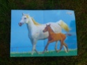 Posters de chevaux de toutes races  1110