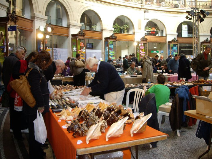 2011 Bourse internationale de Paris - 5 & 6 mars - Page 6 18426810