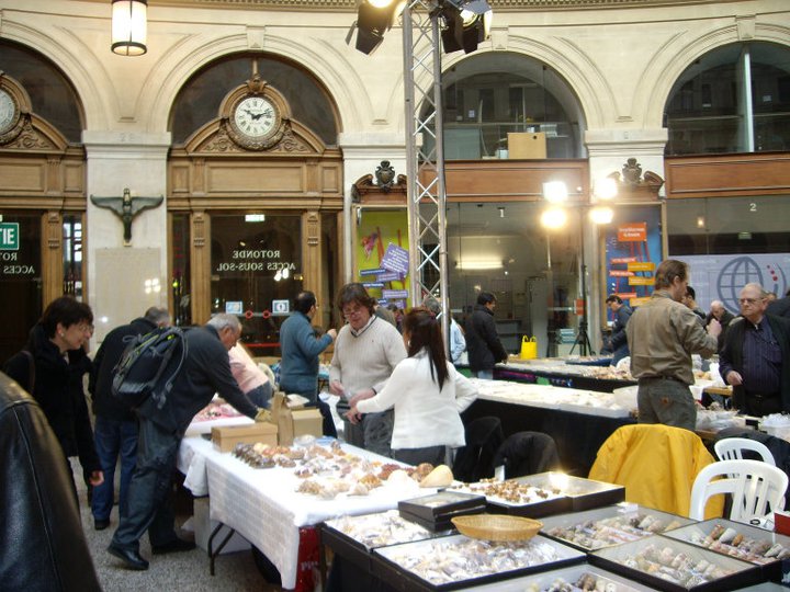 2011 Bourse internationale de Paris - 5 & 6 mars - Page 6 19614410