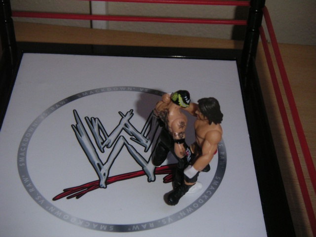 les poses de LA CENATION Pict0014