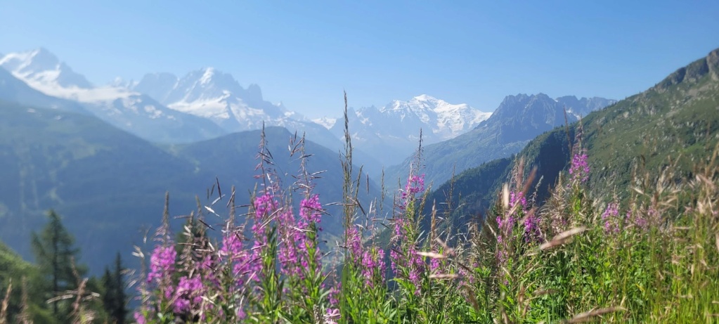 La Route des Grandes Alpes - Page 3 20210823