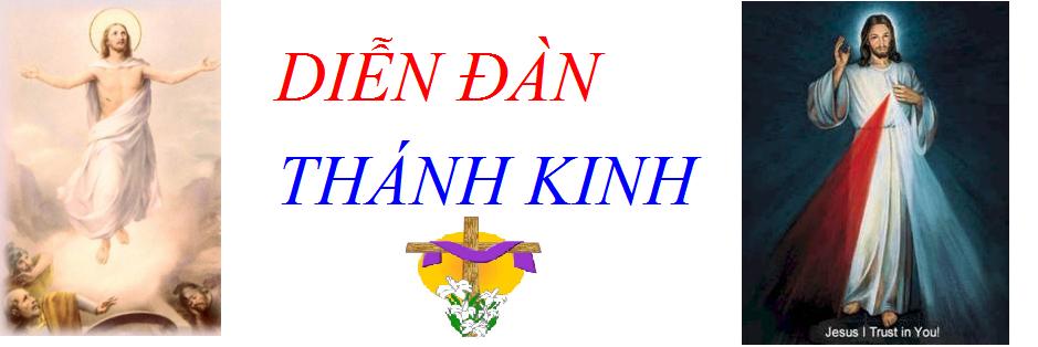 DIỄN ĐÀN THÁNH KINH