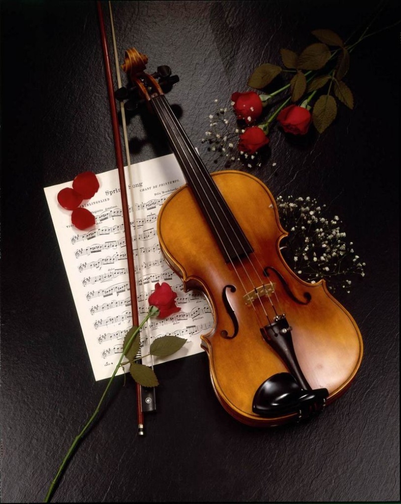Cavi di segnale per musica classica (archi) ?? - Pagina 8 Violin10