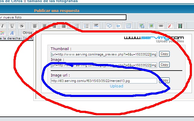 Instructivo de como cargar fotos Cargar12