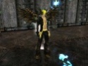 Donate Armours Dark_a14