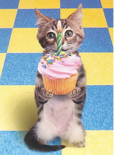 happy birthday sniper!! Kitty_11