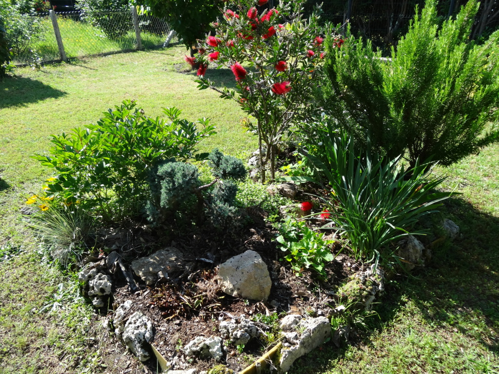 Votre jardin Massif12