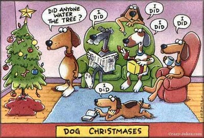 Christmas Jokes Dog_xm10