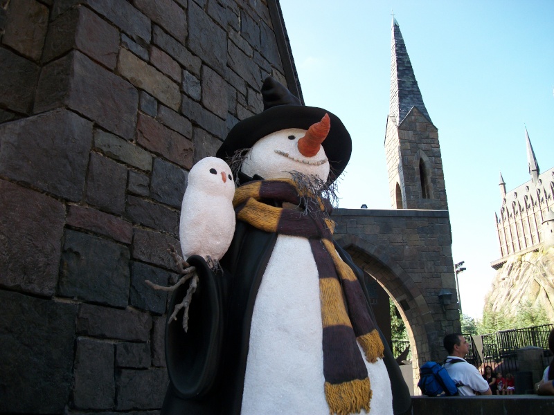 The Wizarding World of Harry Potter Good_t12