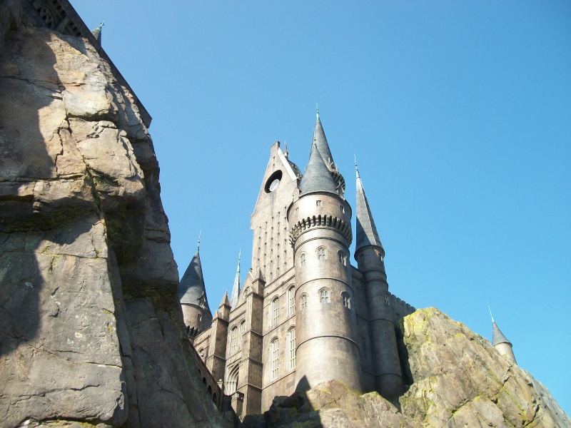 The Wizarding World of Harry Potter Good_t15