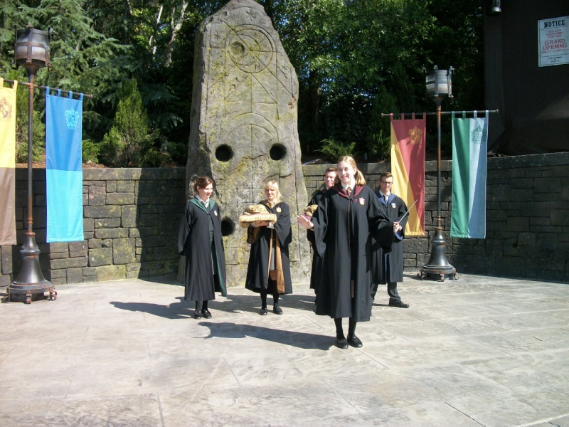 The Wizarding World of Harry Potter Good_t20