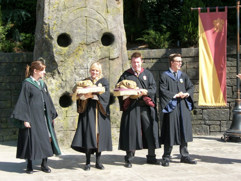 The Wizarding World of Harry Potter Good_t21